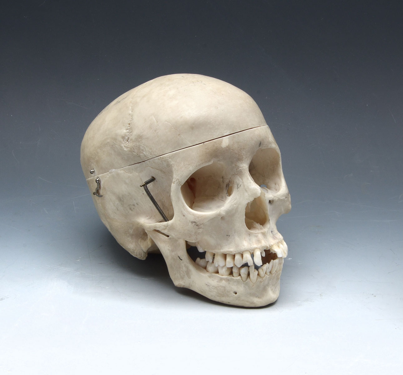 Appraisal: ARTICULATED MEDICAL SCHOOL HUMAN SKULL Late th century medical school