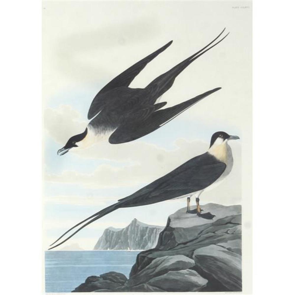 Appraisal: JOHN JAMES AUDUBON AMERICAN - LARGE SCALE LITHOGRAPHIC PRINT AFTER