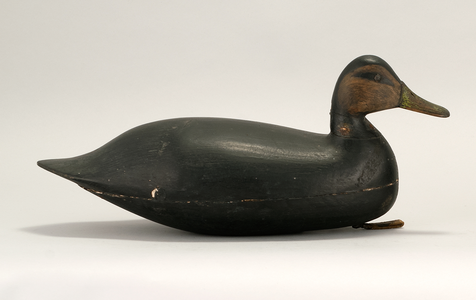 Appraisal: BLACK DUCK DECOY From New Jersey Maker unknown Hollow-carved Tack