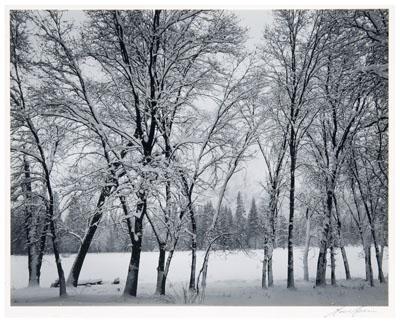 Appraisal: Ansel Adams Yosemite photograph American - silver print quot Young