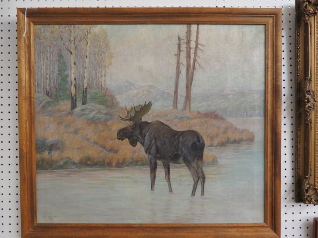 Appraisal: P T Colbron oil Moose standing in water image area