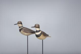 Appraisal: Killdeer Pair Mark S McNair b Killdeer Pair Mark S