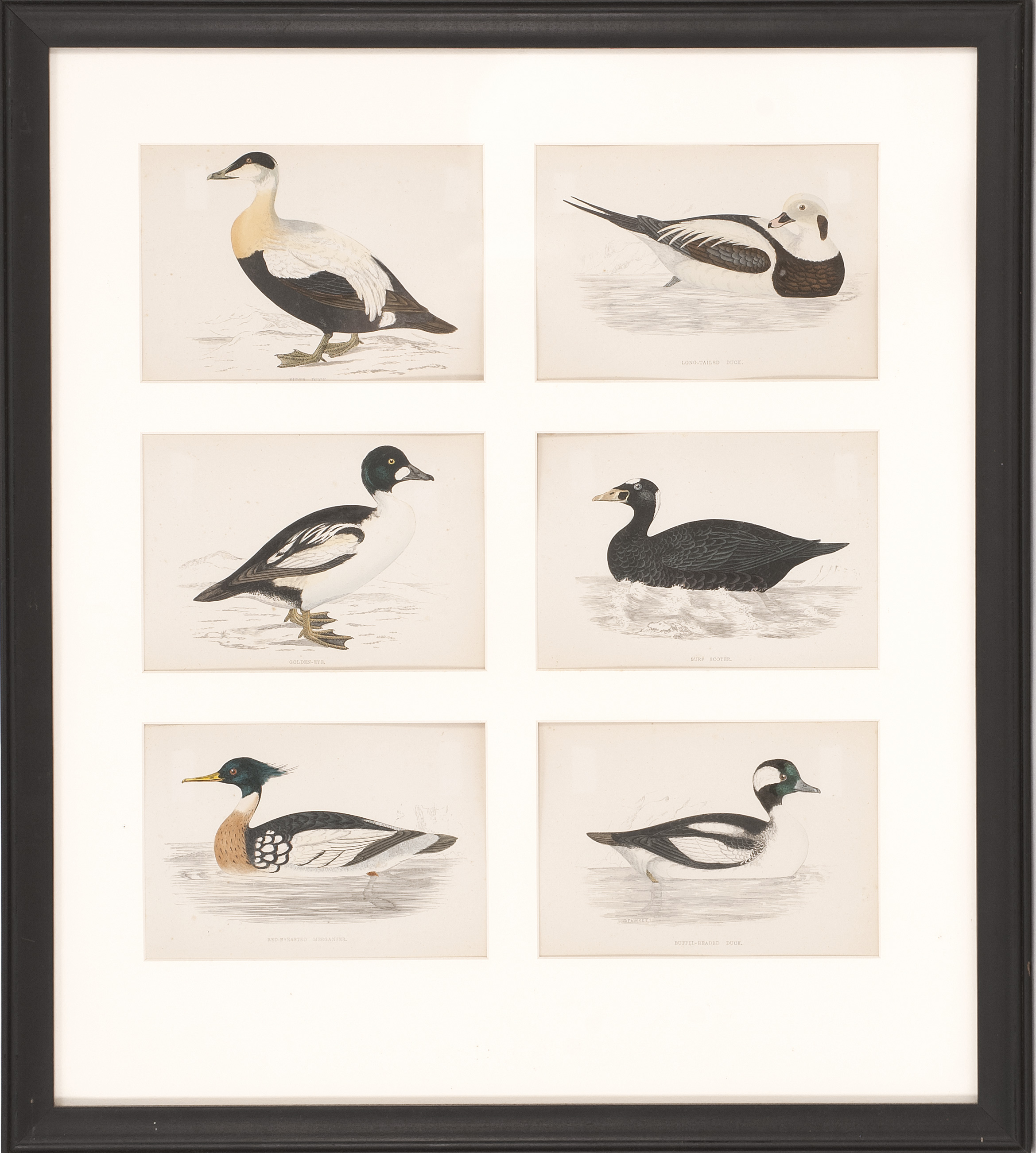 Appraisal: FRAMED COLLECTION OF SIX WATERFOWL PRINTS Framed together Mat opening