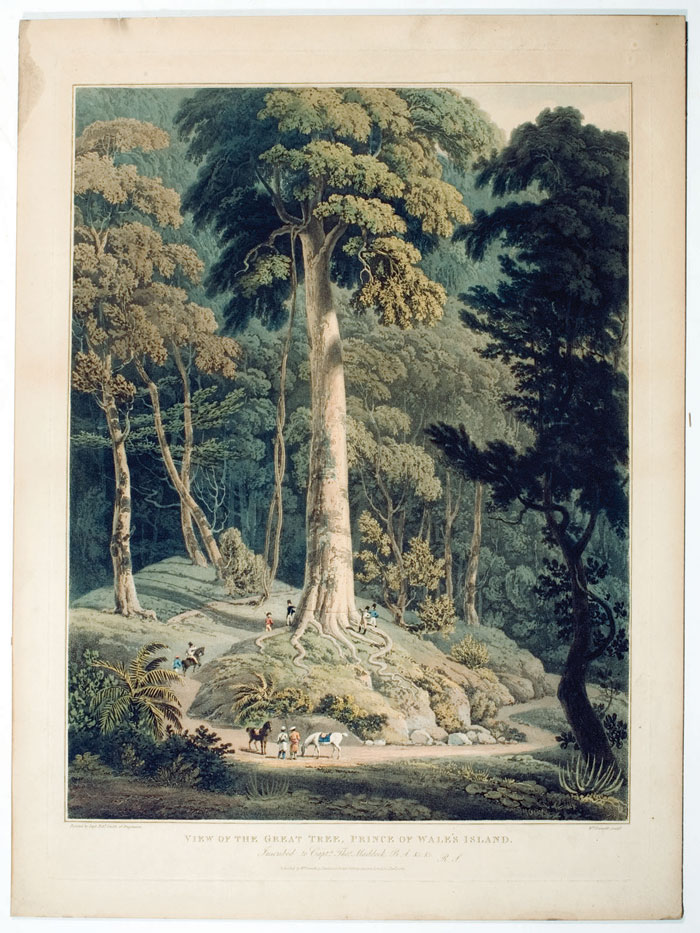 Appraisal: RARE HANDCOLORED AQUATINT quot VIEW OF THE GREAT TREE PRINCE