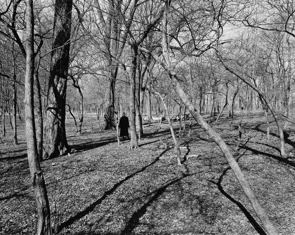 Appraisal: HARRY CALLAHAN - Eleanor Chicago Silver print the image measuring