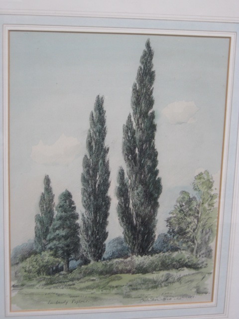 Appraisal: Adrian Keith Graham Hill - Lombardy Poplars Watercolour and pencil