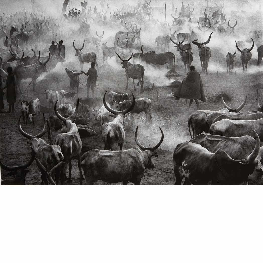 Appraisal: SALGADO SEBASTIAO b Dinka Cattle Camp Sudan Gelatin silver print