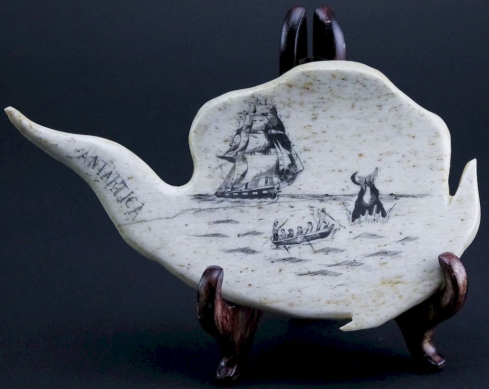 Appraisal: Whale Bone Scrimshaw Carved Like Antarctica Vintage carved scrimshaw whales