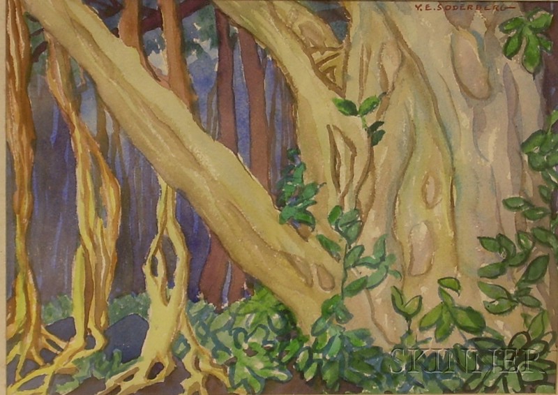 Appraisal: Yngve Edward Soderberg American - Banyan Tree Signed Y E