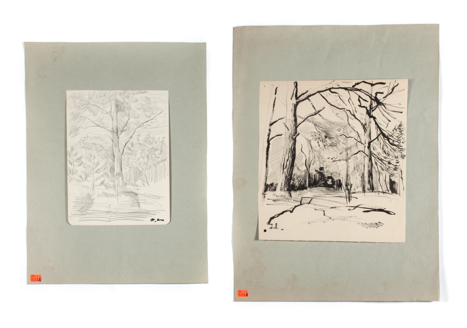 Appraisal: a Joseph Levin Two tree study drawings unframed Russian American