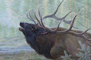 Appraisal: Elk by John Lofgreen John Lofgreen - acrylic on canvas