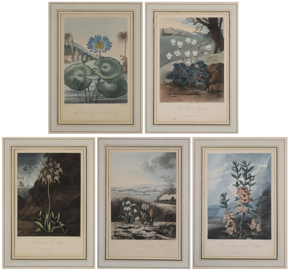 Appraisal: Dr Robert John Thornton British - Five hand-colored engravings The