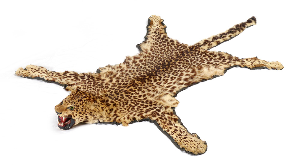 Appraisal: TAXIDERMY LEOPARD RUG MOUNT Mounted to linen overall full open