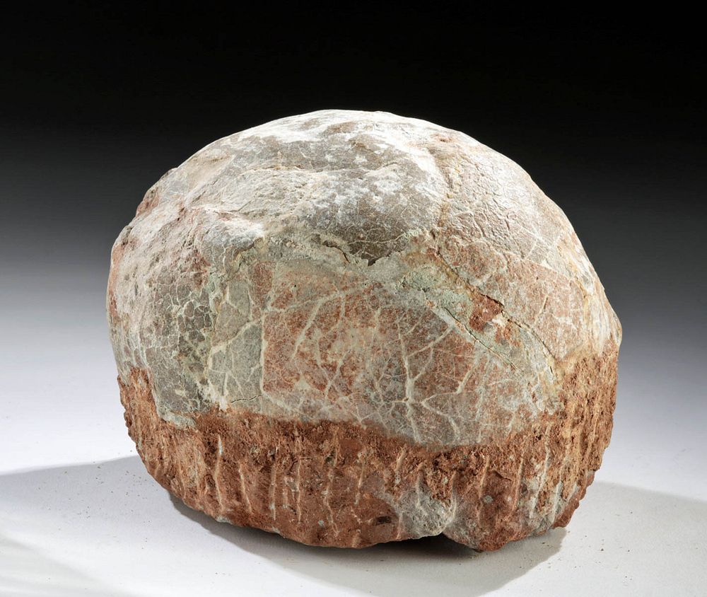 Appraisal: Fossilized Dinosaur Egg - Hadrosaur Eastern Asia China Henan Province