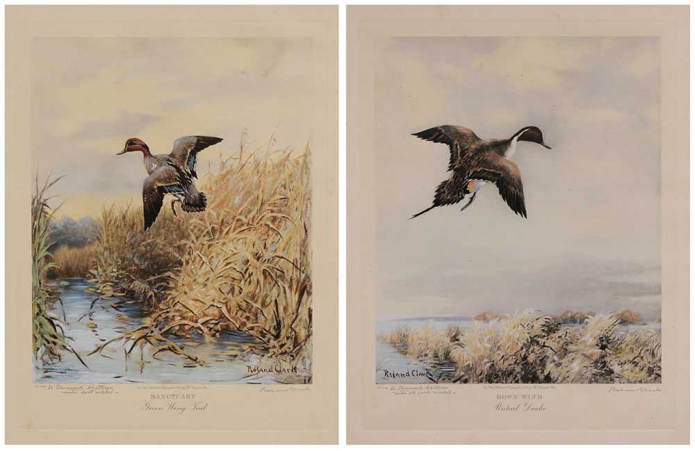 Appraisal: After Roland Clark American - Two duck prints Sanctuary-Green Wing