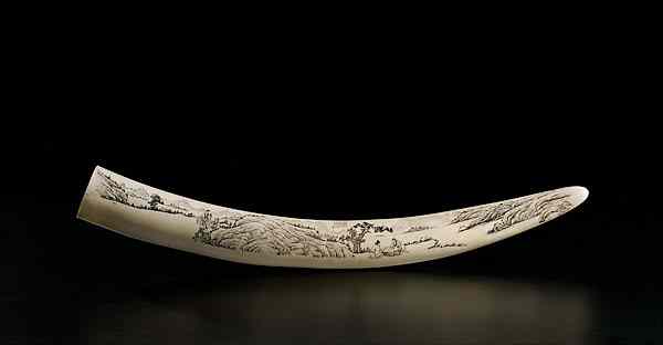 Appraisal: Chinese Ivory Scenic Tusk Chinese A scrimshawed ivory tusk with