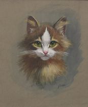 Appraisal: Watercolor Cat Portrait Signed Adolph Watercolor on paper signed lower