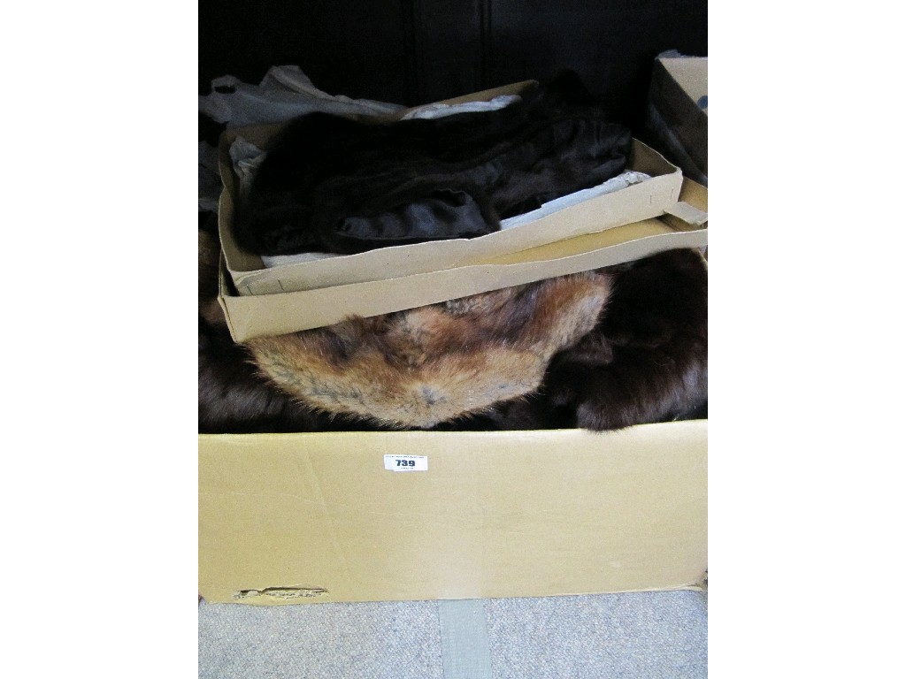 Appraisal: Box of fur coats and a stole