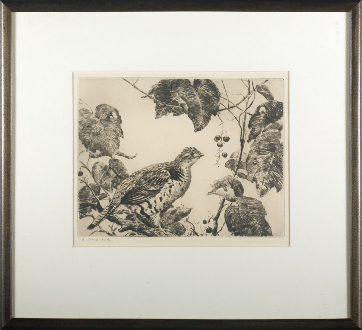 Appraisal: AIDEN LASELL RIPLEY AMERICAN - GROUSE AND WILD GRAPEVINE Etching