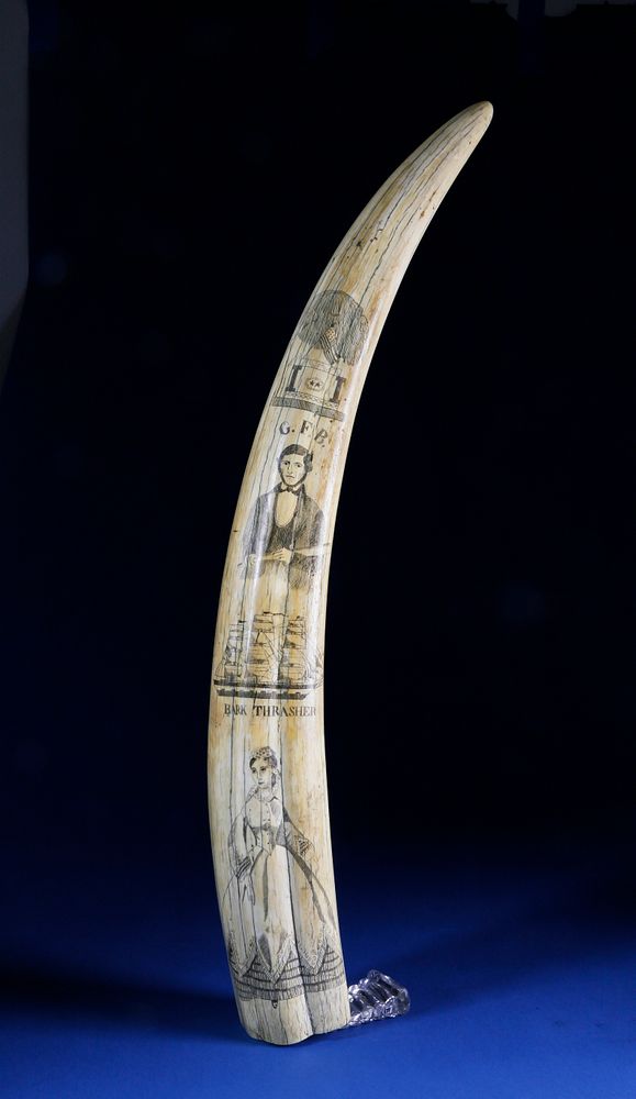 Appraisal: Large American Scrimshawed Walrus Tusk circa - Large Scrimshawed Walrus