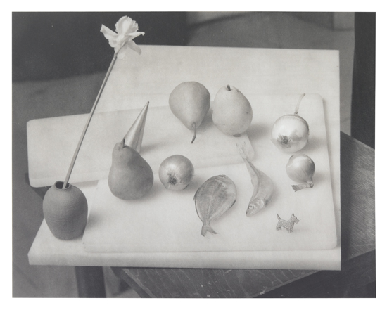 Appraisal: GROOVER JAN - Untitled Platinum-palladium print x inches x cm