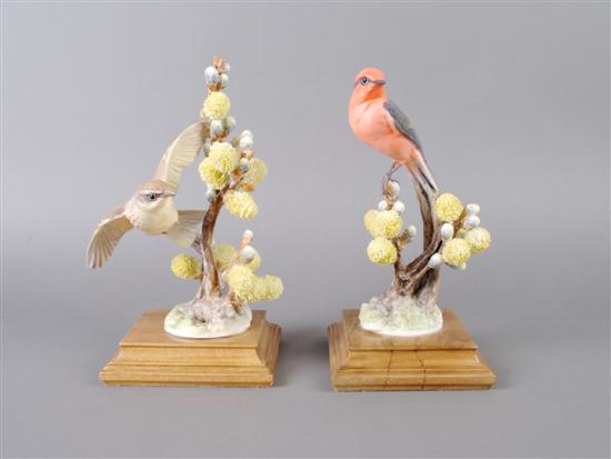 Appraisal: A Pair of Royal Worcester Dorothy Doughty Birds Vermillion Flycatchers