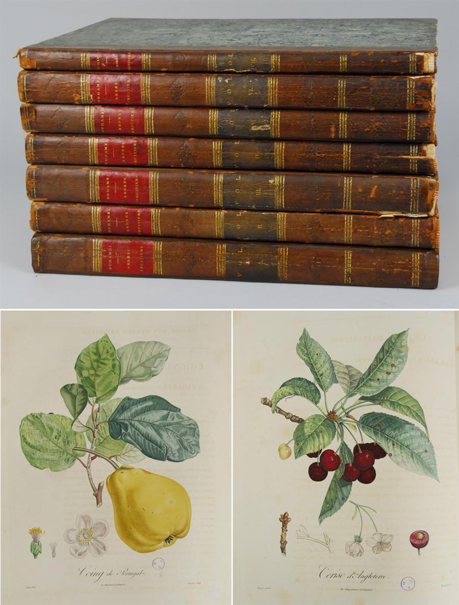 Appraisal: HORTICULTURAL BOOK DUHAMEL DU MONCEAU HENRI LOUIS TRAITE DES ARBRES