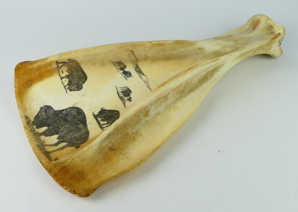 Appraisal: ANTIQUE WHALE JAW BONE SCRIMSHAW OF BISON Antique genuine whale