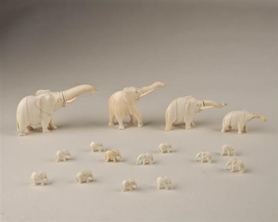 Appraisal: A Collection of Sixteen Carved Ivory Elephants in varying sizes