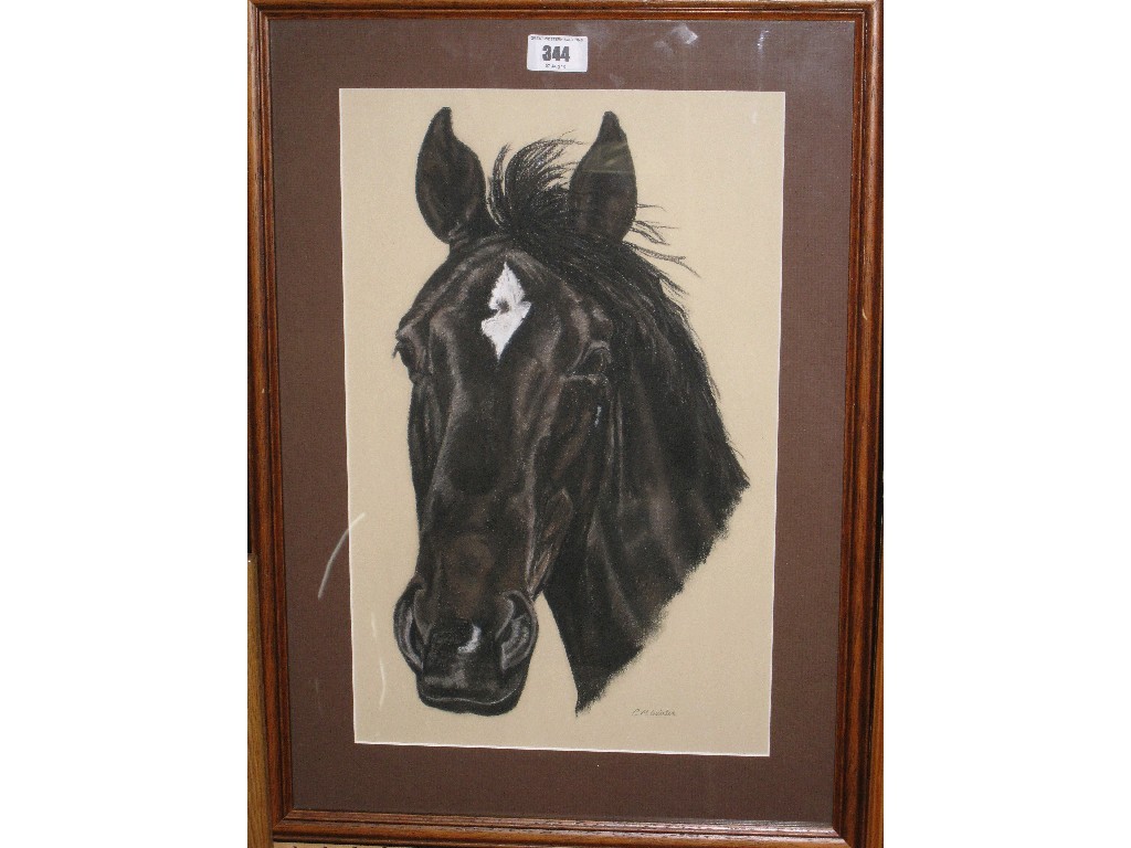 Appraisal: C M QUINTON Two pastel horse portraits both signed