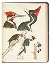 Appraisal: WILSON ALEXANDER American Ornithology with Supplement hand-colored engraved plates Nine