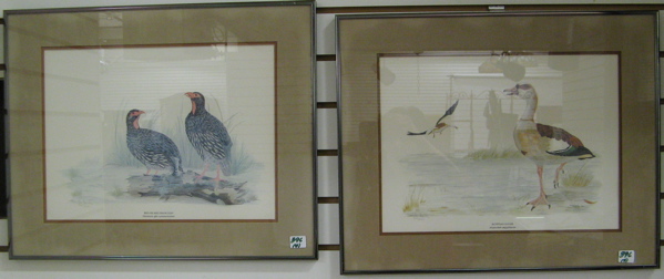 Appraisal: FOUR COLOR LITHOGRAPHS depicting exotic birds after the original watercolors