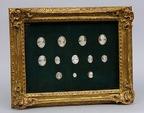 Appraisal: Framed Carved Shell Cameo Display Twelve carved shell cameos applied