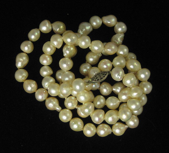 Appraisal: OPERA LENGTH PEARL NECKLACE strung with well matched cream colored