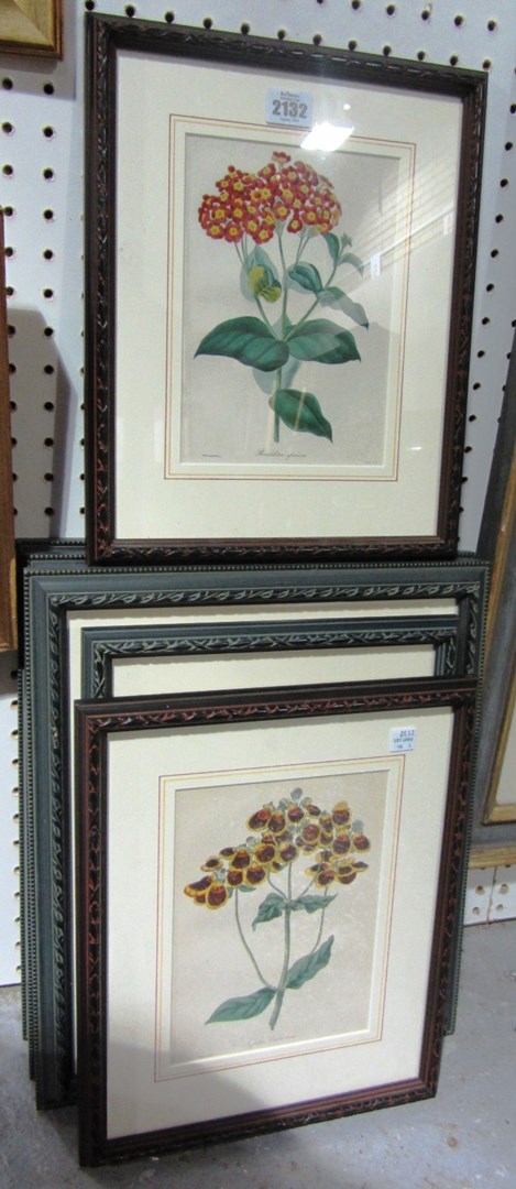 Appraisal: A group of seven framed botanical prints