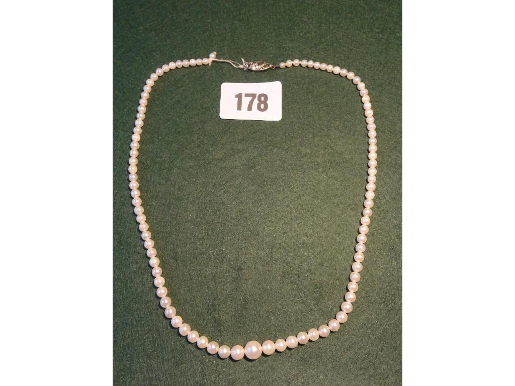 Appraisal: A graduated pearl necklace with marcasite sterling silver clasp