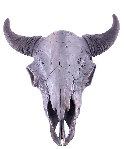 Appraisal: Original Buffalo Bronze by Rick Rowley For your consideration is