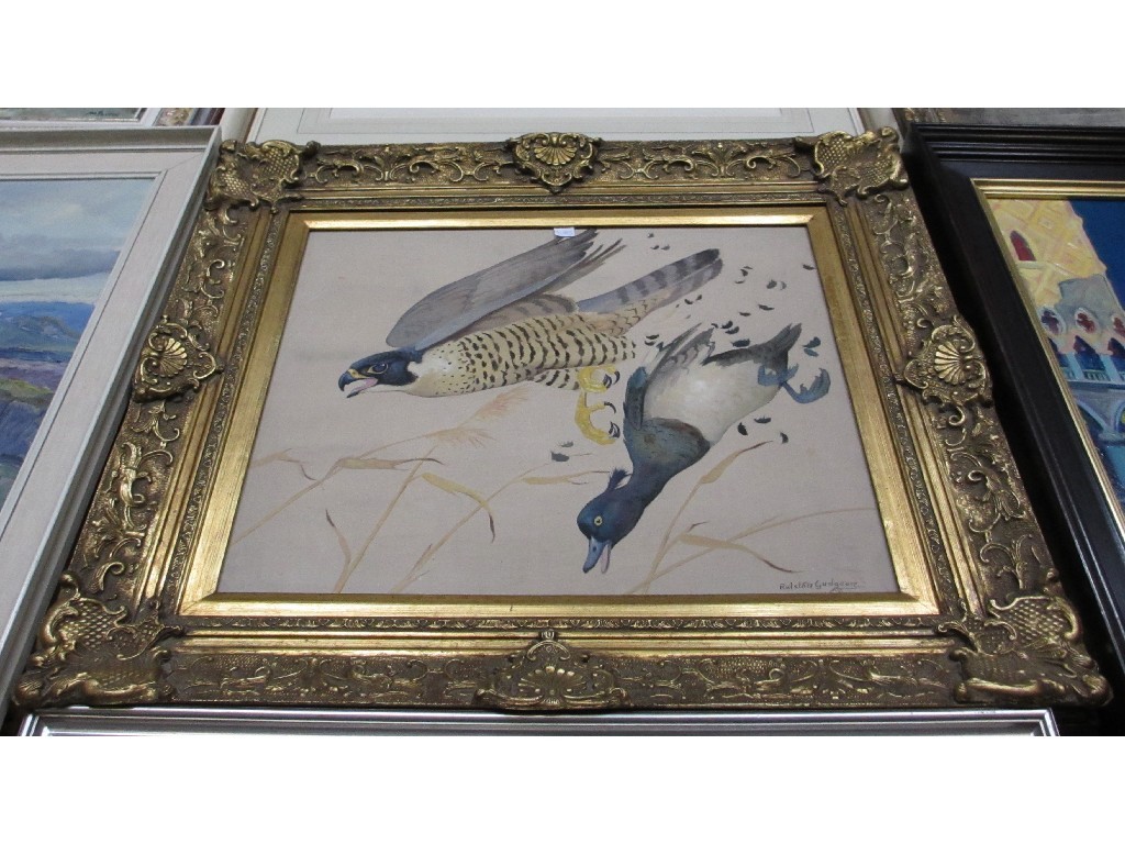 Appraisal: RALSTON GUDGEON RSW Watercolour 'Peregrine Falcon striking a Tufted Duck'