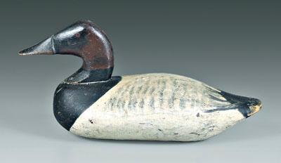 Appraisal: Canvasback duck decoy painted eyes probably Chesapeake Bay area -