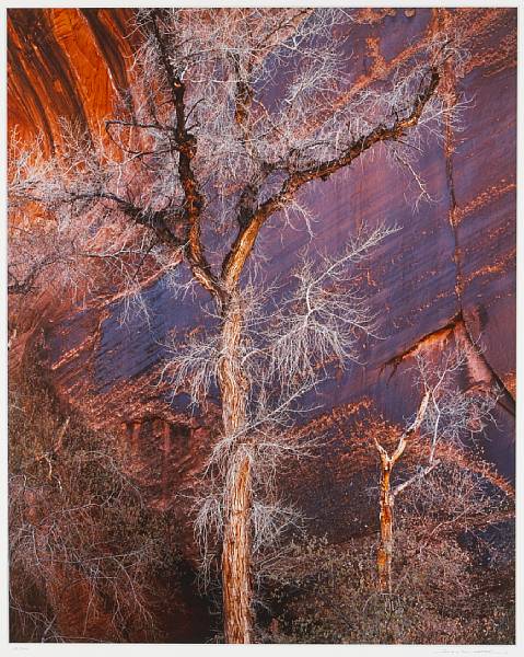 Appraisal: Joseph Holmes American Rush Creek Mono County California Cottonwood and