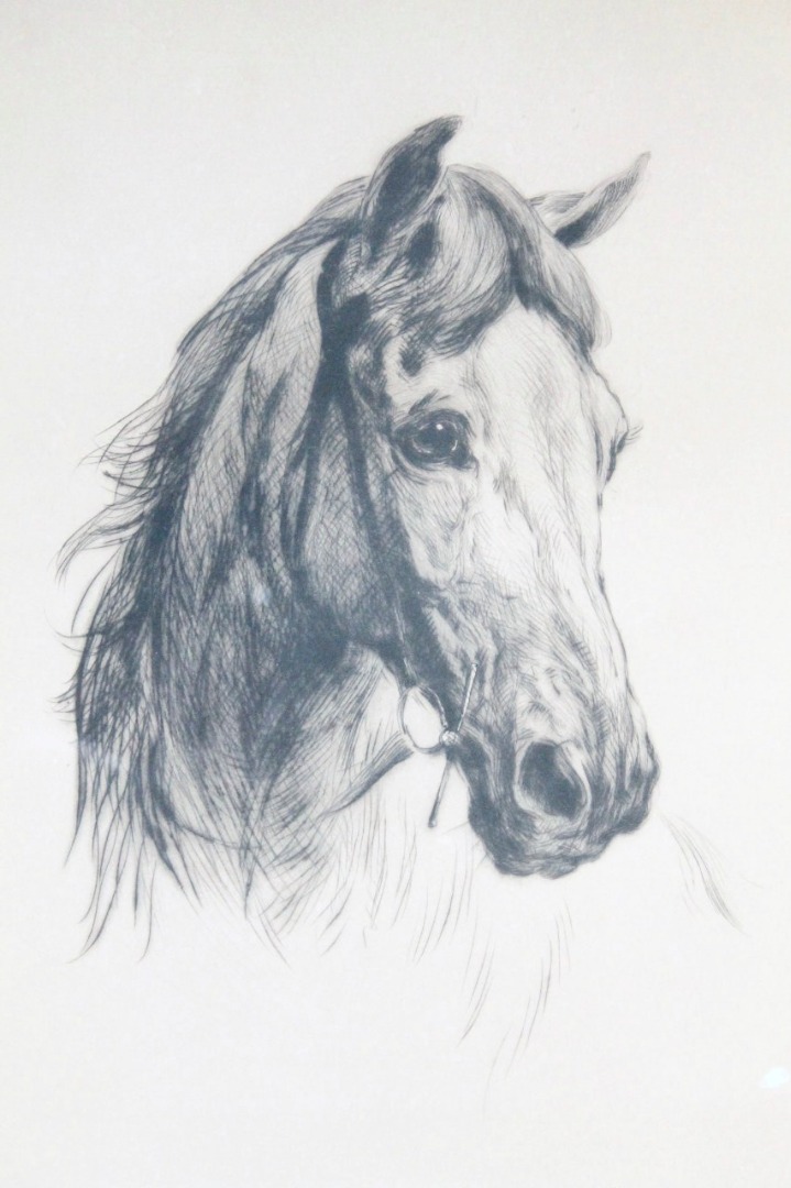 Appraisal: Heywood Hardy - Horses head profile dry point etching hand