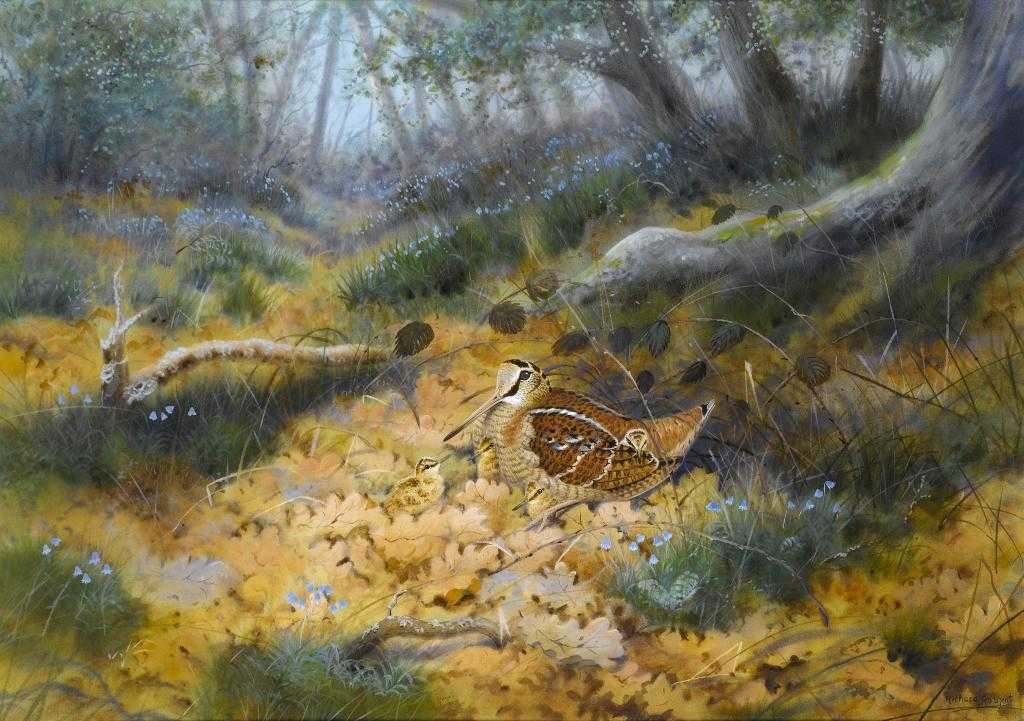 Appraisal: RICHARD ROBJENT - HEN WOODCOCK WITH CHICKS signed pencil and