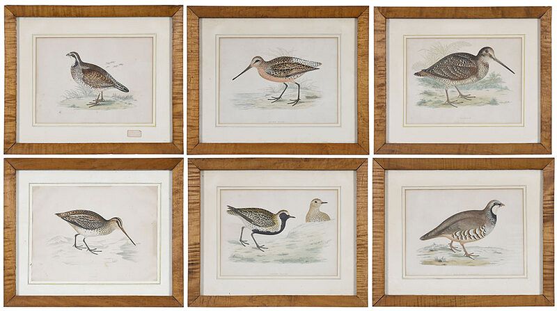 Appraisal: Six Bird Prints th century including partridges plover snipe and