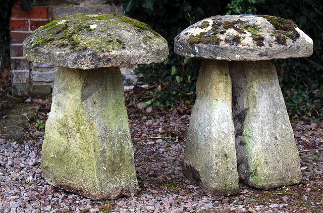 Appraisal: TWO OLD STADDLE STONES each approximately cm diameter x cm