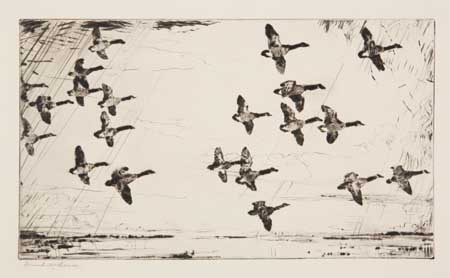 Appraisal: FRANK W BENSON Over Currituck Marshes Drypoint x mm x