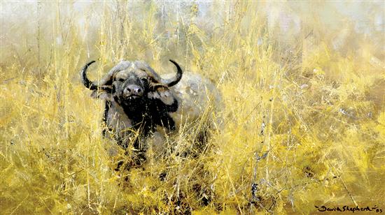 Appraisal: David Shepherd British b WATER BUFFALO IN GRASSESoil on canvas