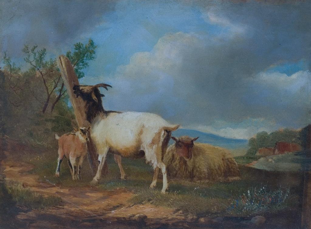 Appraisal: ENGLISH SCHOOL th CENTURY STUDY OF GOATS AND A SHEEP