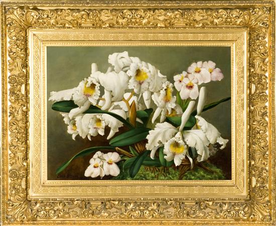 Appraisal: Storer Charles Am - Orchids from Nature Oil on canvas