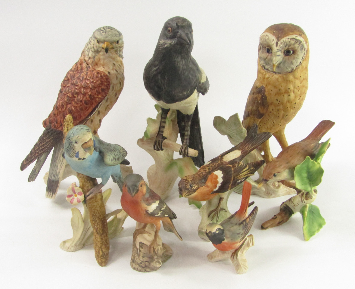 Appraisal: W Goebbel bird sculptures comprising Brambling Bullfinch Barn Owl Falcon