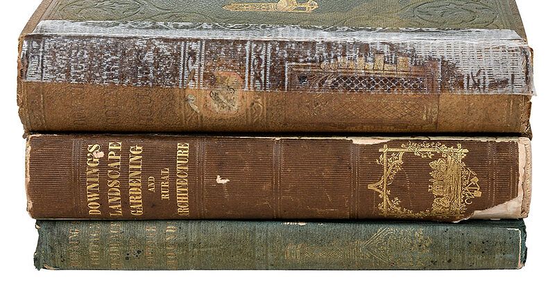 Appraisal: Three A J Downing Books American - including A Treatise